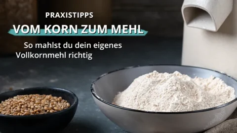Schale mit frisch gemahlenem Vollkornmehl neben einer Schale mit Getreidekörnern in einer Küchenumgebung